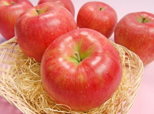 シナノスイートりんご大玉1個あす楽