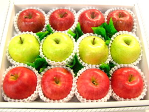 ӂуWiS[h񂲃Zbgiꏜjꌧ͑1000~ǉĂ܂Bʕ@fruitsyy炭yyMt_bŹz