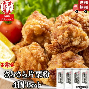 1000~|bL  炳ЌI 4 Zbg v[g JX1N R鉮  ` ԂԂłՂ kC Y  Ⴊ n鏒 g 炠   | 