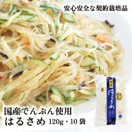 国産 はるさめ 120g 10袋 送料無料 山城屋 公式 伝統 ケース販売 まとめ買い ストック食材 保存食 備蓄 …