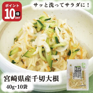 y21-27159܂ |Cg10{z ؑ卪 { 40g 10  R鉮  ` P[X̔ ܂Ƃߔ 卪   ؊ ڂ AW T_ wV[ aH  a