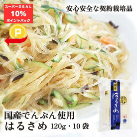 国産はるさめ 120g 10袋 送料無料 山城屋 公式 伝統 祭り ケース販売 まとめ買い 業務用 乾物 乾物屋 国産 春雨 無添加 人気 サラダ スープ チャプチェ おかず 鍋物 煮物 酢の物 中華 麻婆 カロリー 糖質 簡単 低GI ダイエット さつまいも じゃがいも 麻辣湯