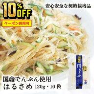【4日20時〜11日1時59分まで 10%OFF】国産 はるさめ 120g 10袋 送料無料 山城屋 公式 伝統 ケース販売 ま…