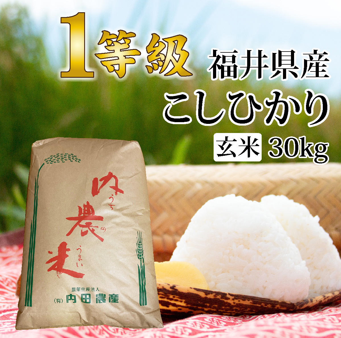 福井県産 コシヒカリ - 玄米の人気商品・通販・価格比較 - 価格.com