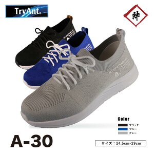 TCYL ANGE SAFETY A-30 SC y JWA ʋC y ZC R^Cv ubN O[ u[ q H   Ɨp Xj[J[ Z[teBV[Y  j   TryAnt L