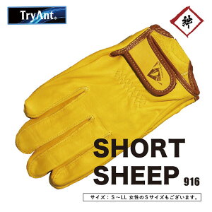 y[֑Ήz TryAnt@rv V[g Ɨp܁@#916@񓖂ĕt@}WbN@sb^tBbg@U[O[u@@S[h@AEghA@Ȃ₩@@j