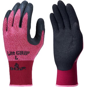 [10og] V[O[u No.341 CgObv RۖhL VRS ~ w bh p[v 10oZbg Ɨp  y z K[fjO | _ _ ^ z 