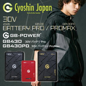 ���M�W���p�� 2026SS �V���f�� GB-POWER GB430 GB430PD 30V 93Wh ��e�� �o�b�e���[ �Z�b�g �󒲃E�F�A �d���t�@���t���E�F�A GFX 30V�Ή� 123L�b PSE�Ή� �� �� �u���b�N ���b�h ��ƕ� ��ƒ� �����Y ���f�B