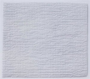 ANAZ Ag BURN 00420 23x30cm 15 RoebNyԕisz