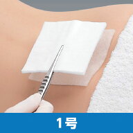 デルマエイド 1号 11981 5.0cmx5.0cm 創傷用吸収パッド 1函入数100枚 アルケア【返品不可】