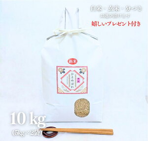 V  10kg ʍ͔| {錧 ЂƂ߂ڂ ߘa7NY  5kg×2 Ė  5t 7Â l s O Mtg đ v[gt 