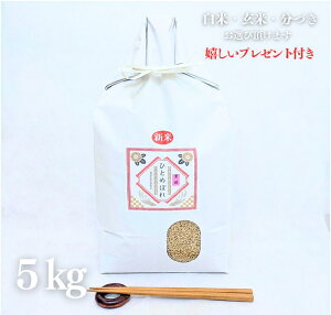V  5kg {錧 ЂƂ߂ڂ ߘa7NY  5kg×1 Ė  5t 7Â l s O Mtg đ v[gt 