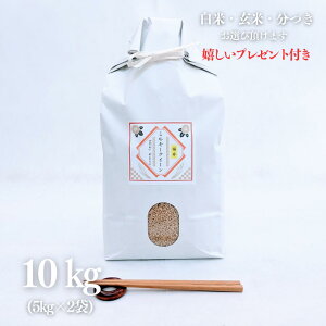 V  10kg 䌧 ~L[NC[  5kg×2 ߘa7NY Ė  5t 7Â s O Mtg l  v[gt 