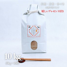 お米 10kg 福井県産 いちほまれ 玄米 5kg×2袋 令和5年産 精米無料 白米 5分付き 7分づき 熨斗無料 グルメ ギフト 紙袋 嬉しいプレゼント付き 送料無料