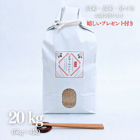 新米 お米 20kg 京都 きぬひかり キヌヒカリ 玄米 5kg×4袋 令和7年産 献上米 精米無料 白米 5分付き 7分づき 熨斗無料 グルメ ギフト 紙袋 嬉しいプレゼント付き 送料無料