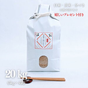 V  20kg s ʂЂ LkqJ  5kg×4 ߘa7NY  Ė  5t 7Â l O Mtg  v[gt 