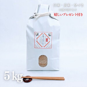 V  5kg s ʂЂ LkqJ  5kg×1 ߘa7NY  Ė  5t 7Â l O Mtg  v[gt 