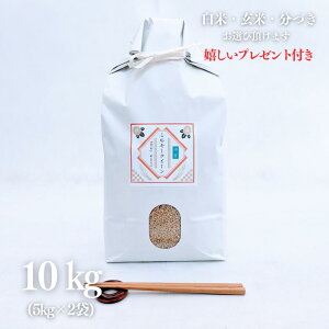 V  10kg ꌧ ~L[NC[  5kg×2 ߘa7NY ߍ] Ė  5t 7Â s O Mtg l  v[gt 