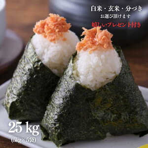 V  25kg ꌧ ~L[NC[  5kg×5 ߘa7NY ߍ] Ė  5t 7Â l e v[gt 