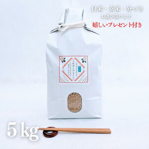 V  5kg ꌧ ~L[NC[  5kg×1 ߘa7NY ߍ] Ė  5t 7Â l O Mtg  v[gt 