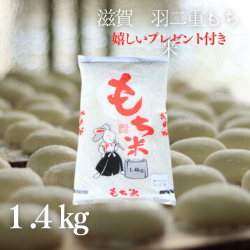 楽天市場】羽二重 もち米 1.4kg 滋賀県産 令和7年産 : 京の米職人