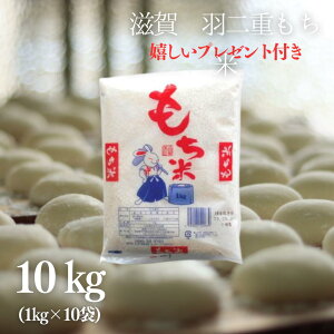 V  Hd  10kg (1kg×10) ꌧY ߘa7NY ݂   ͂ Ԕ  v[gt 