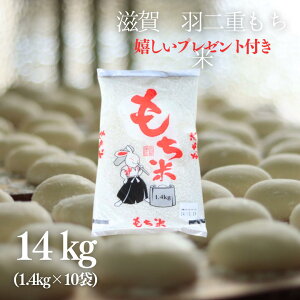 V  Hd  14kg (1.4kg×10) 1l ꌧY ߘa7NY ݂   ͂ Ԕ  v[gt 