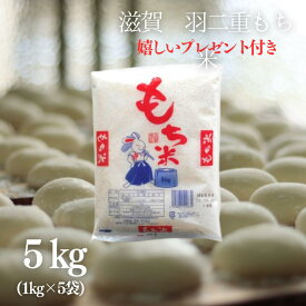 お米 羽二重 もち米 5kg (1kg×5袋) 滋賀県産 令和5年産 餅つき 餅 お餅 おはぎ 赤飯 おこわ 嬉しいプレゼント付き 送料無料