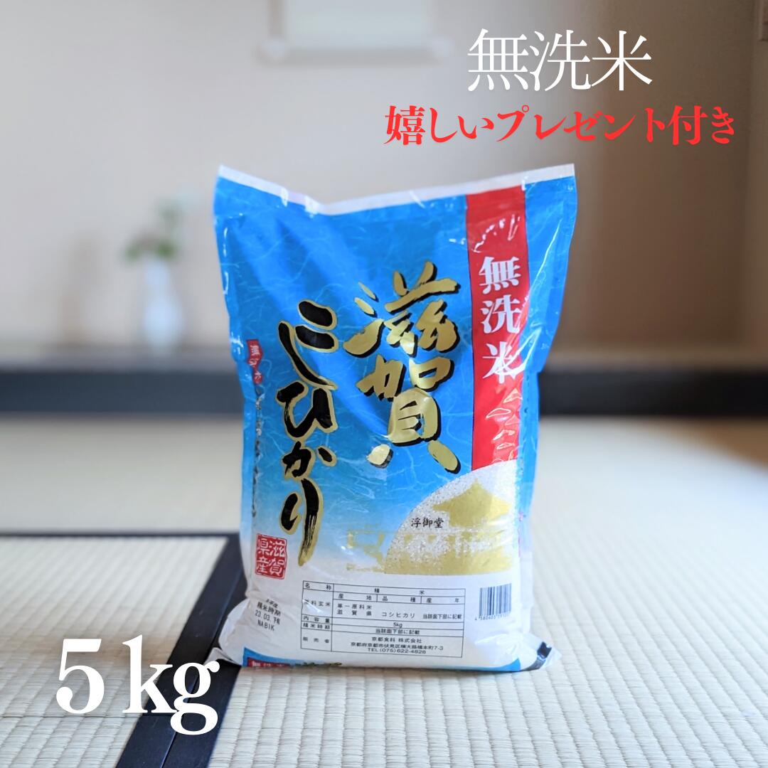 近江米 コシヒカリ - 米の通販・価格比較 - 価格.com