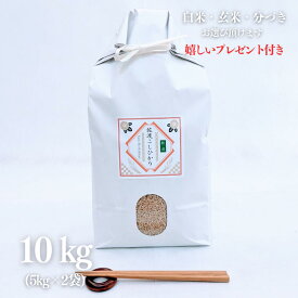お米 10kg 新潟県産 佐渡コシヒカリ 低農薬 減農薬 玄米 5kg×2袋 令和7年産 精米無料 白米 5分付き 7分付き 紙袋 京都 グルメ ギフト 熨斗無料 嬉しいプレゼント付き 送料無料