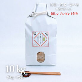 お米 10kg 滋賀県 キヌヒカリ 玄米 5kg×2袋 令和7年産 近江米 精米無料 白米 5分付き 7分づき 熨斗無料 京都 グルメ ギフト 米袋 嬉しいプレゼント付き 送料無料