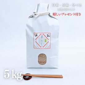 お米 5kg 滋賀県 キヌヒカリ 玄米 5kg×1袋 令和7年産 近江米 精米無料 白米 5分付き 7分づき 熨斗無料 京都 グルメ ギフト 米袋 嬉しいプレゼント付き 送料無料