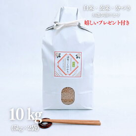 新米 令和7年産 お米 10kg 滋賀県 コシヒカリ 玄米 5kg×2袋 精米無料 白米 5分付き 7分づき 熨斗無料 京都 グルメ ギフト 米袋 嬉しいプレゼント付き 送料無料