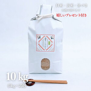 V ߘa7NY  10kg ꌧ RVqJ yf͔|  5kg×2 Ė  5t 7Â l s O Mtg đ v[gt 