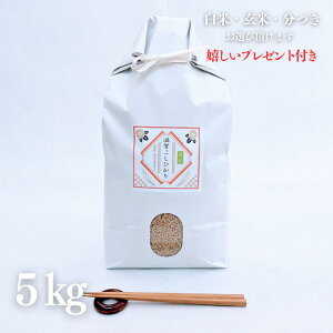 V ߘa7NY  5kg ꌧ RVqJ yf͔|  5kg×1 Ė  5t 7Â l s O Mtg đ v[gt 