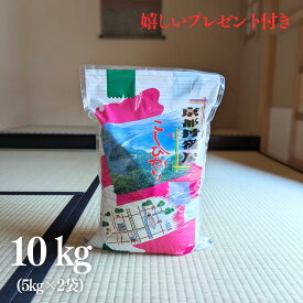 お米 10kg 京都 丹後産 コシヒカリ 京料理人ご用達 白米 5kg×2袋 令和6年産 京都 熨斗無料 グルメ ギフト 送料無料