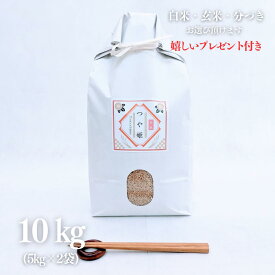 お米 10kg 特A 島根県 石見銀山 つや姫 玄米 5kg×2袋 特別栽培米 令和5年産 精米無料 白米 5分付き 7分付き 紙袋 京都 熨斗無料 グルメ ギフト 嬉しいプレゼント付き 送料無料