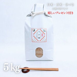  5kg A  ΌR P  5kg×1 ʍ͔| ߘa5NY Ė  5t 7t  s l O Mtg v[gt 