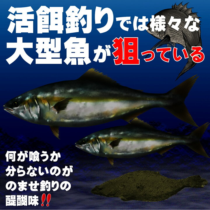 楽天市場 ダブル ワイヤーハリス トレブルフック 直径0 24mm ３種のワイヤー接続部 飲ませ釣り 仕掛け ノマセ釣り 仕掛け 泳がせ釣り 仕掛け ヒラメ釣り ヒラメ 仕掛け 飲ませ釣り 竿 飲ませ釣り リール 飲ませ釣り 針 飲ませ釣り エサ 飲ませ釣りコツ 飲ませ釣り 船 飲