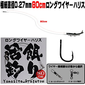 q d| jނ d| ܂ނ d| ɍ a0.27mm 80cm OC[nX ɐ12 m}Zނ d| qނ qd| ܂ނ j ܂ނ GT ܂