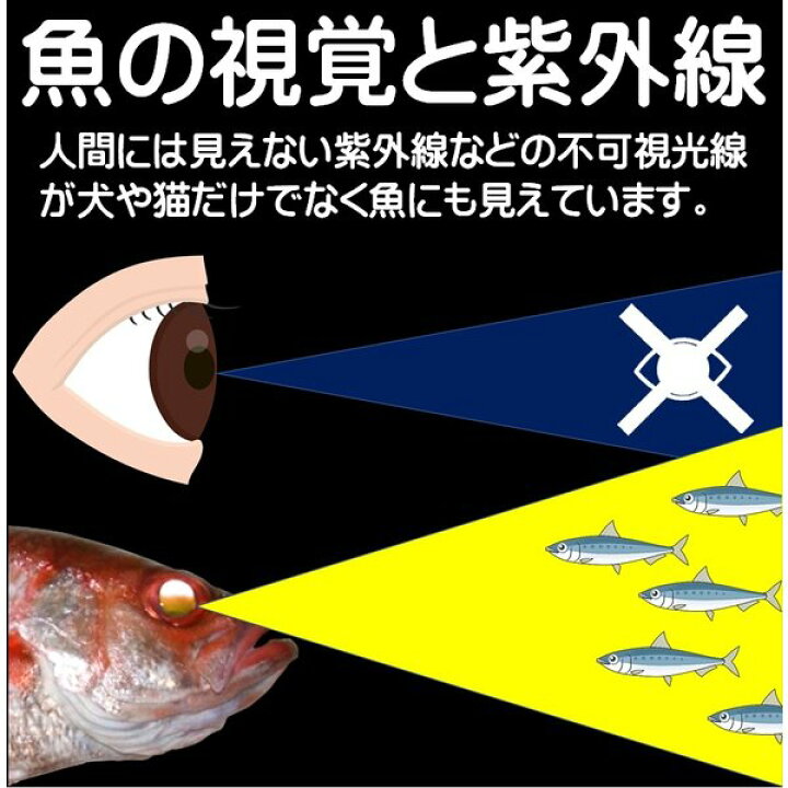 楽天市場 ケイムラ紫 3色コンビホタ16号吹き流し3本針仕掛け アカムツ 仕掛け アカムツ 竿 アカムツ 餌 アカムツ エサ アカムツ ケイムラ 効果 アカムツ ホタ針 山下漁具店 釣り侍のデコ餌 釣り侍のデコ針 ケイムラ加工 のどぐろ 仕掛け 釣り大会 景品 アカムツ 釣り船