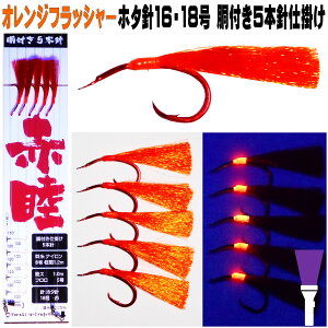 AJcd| IWtbV[ AJc z^j16 185{j td| AJc d| AJc  AJc a AJc GT AJc PC  AJc z^j R