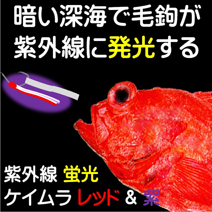 楽天市場 アコウダイ 仕掛け 用 ムツ針24号 ケイムラ パープル ４色コンビフラッシャー 各5本計本組 アコウダイ釣り アコウダイ仕掛け アコウダイ 釣り 山下漁具店 メヌケ釣り メヌケ 仕掛け アコウダイ 赤魚 アコウダイ エサ アコウダイ 餌 アコウダイ 釣り方 メヌケ