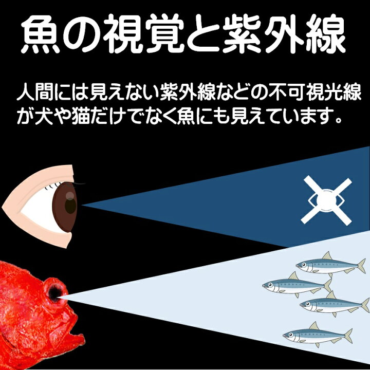 楽天市場 アコウダイ 仕掛け 用 ムツ針24号 ケイムラ パープル 4色コンビフラッシャー 各5本計本組 アコウダイ釣り アコウダイ仕掛け アコウダイ 釣り 山下漁具店 メヌケ釣り メヌケ 仕掛け アコウダイ 赤魚 アコウダイ エサ アコウダイ 餌 アコウダイ 釣り方 メヌケ 楽天市場 アコウダイ 仕掛け 用 ムツ針24号 ケイムラ パープル 4色コンビフラッシャー 各5本計本組 アコウダイ釣り アコウダイ仕掛け アコウダイ 釣り 山下漁具店 メヌケ釣り メヌケ 仕掛け アコウダイ 赤魚 アコウダイ エサ アコウダイ 餌 アコウダイ 釣り方 メヌケ