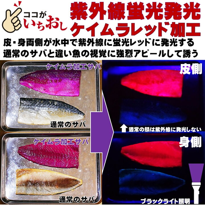 楽天市場 視覚臭覚効果アミノ酸ケイムラ加工液レッド190ml２本組 ケイムラ 液 紫外線加工液 紫外線 加工液 紫外線 加工 液 ケイムラ 加工液 山下漁具店 山下漁具 釣り侍のデコ餌 釣り侍 デコ餌 ケイムラ 液 紫外線加工液 紫外線 加工液 紫外線 加工 液 ケイムラ 加工液