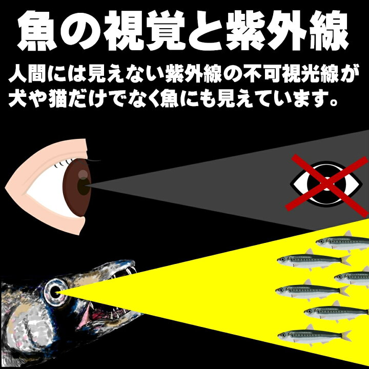 楽天市場 ケイムラ蛍光発光 甘海老漬け 鯖 薄造り 半身2枚組 集魚剤 サバ 切り身 エサ 山下 漁具 イカゴロ 釣り餌 アミノ酸 釣りえさ 釣り餌 アコウダイ 釣り 餌 食紅 ピンク 釣り餌 イカ 集魚剤 アミノ酸 釣り エサ いか ゴロ イカ 餌 冷凍 楽天市場 ケイムラ蛍光発光 甘海老漬け 鯖 薄造り 半身2枚組 集魚剤 サバ 切り身 エサ 山下 漁具 イカゴロ 釣り餌 アミノ酸 釣りえさ 釣り餌 アコウダイ 釣り 餌 食紅 ピンク 釣り餌 イカ 集魚剤 アミノ酸 釣り エサ いか ゴロ イカ 餌 冷凍