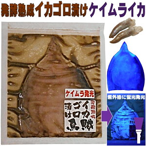 イカ 釣具 釣り餌の人気商品 通販 価格比較 価格 Com イカ 釣具 釣り餌の人気商品 通販 価格比較 価格 Com