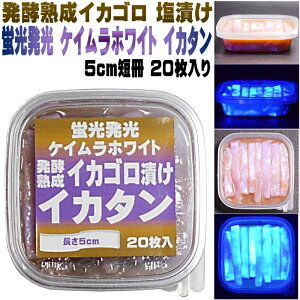 CJ^ CJ Z GTp A~m_ CJSЂ CJ^Ђ O u PCzCg CJ^ Ђ 5cm 20 Sꗥ 300~ CJ GT CJ a ނa C