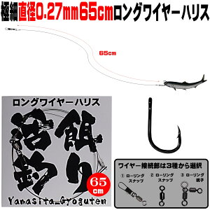 q d| jނ d| ܂ނ d| ɍ a0.27mm 65cm OC[nX ɐ12 m}Zނ d| qނ qd| ܂ނ j ܂ނ GT ܂