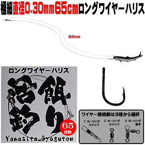 q d| jނ d| ܂ނ d| ɍ a0.30mm 65cm OC[nX ɐ12 m}Zނ d| qނ qd| ܂ނ j ܂ނ GT ܂